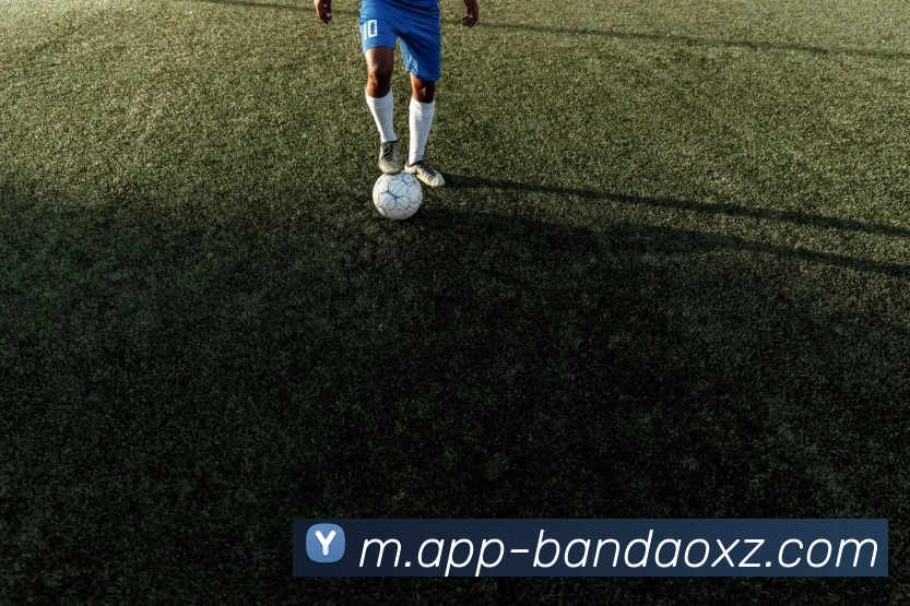 半岛体育平台生态图