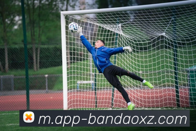 半岛体育APP 封面图